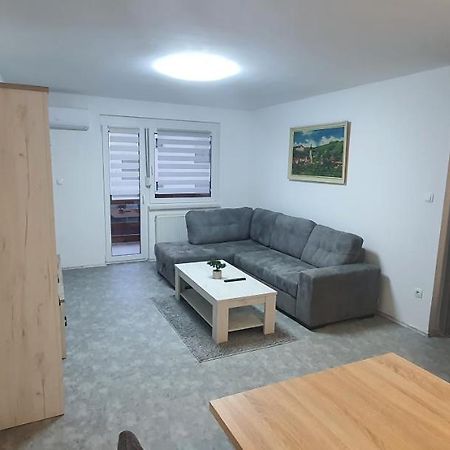 Apartma Sivi Zako Bohinj Exteriér fotografie